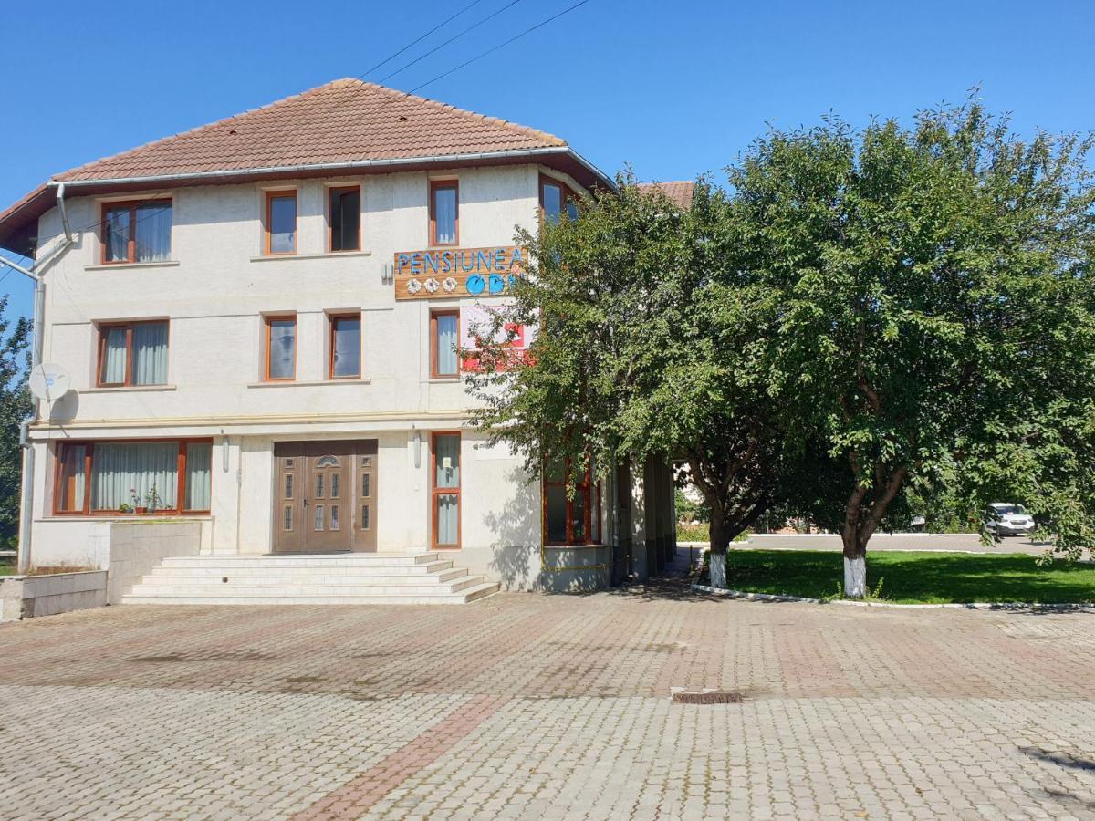 Pensiunea Odn Scheia Εξωτερικό φωτογραφία